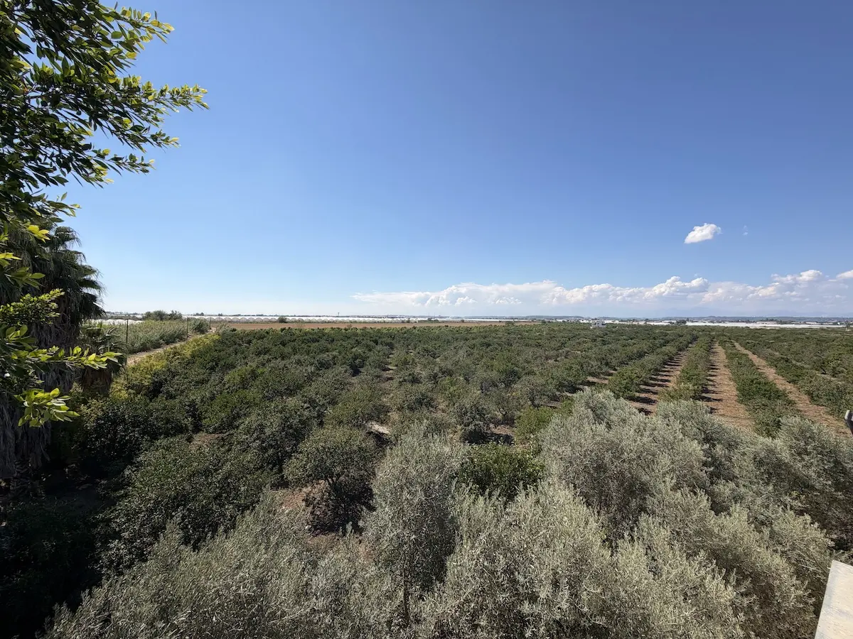 Land plot in Serik